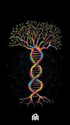 an image of a tree with colorful branches and a spiral design on the top, against a black background