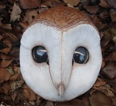 an owl's head with large eyes is shown in the middle of some leaves