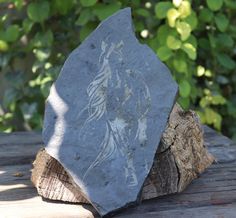 a rock with an image of a horse on it sitting on a wooden table in front of some bushes