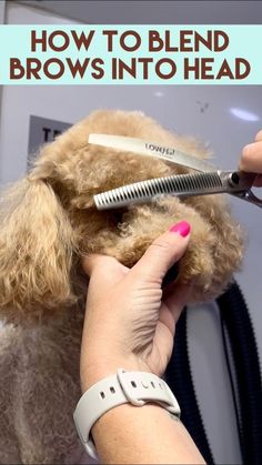 a person cutting their dog's hair with scissors