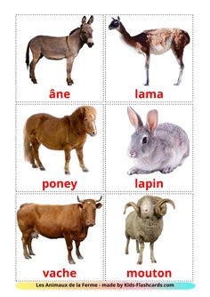 four different types of animals are shown in this picture