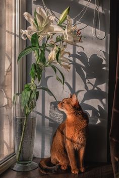 a cat sitting next to a vase with flowers in it and looking out the window