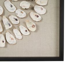 a group of oysters sitting on top of a table next to a black frame