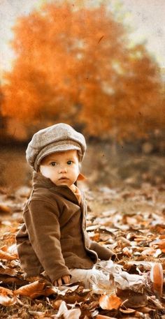 an image of a baby sitting in the leaves with fall decorations and pumpkins behind it