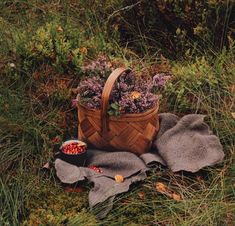 a basket full of flowers sitting on top of a blanket next to a bowl of berries