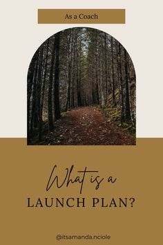 the cover of what is a launch plan? with trees and leaves in the background