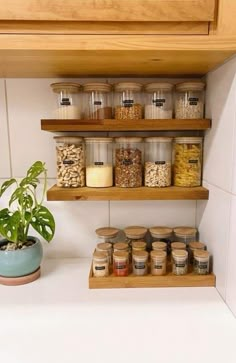 a kitchen shelf filled with jars and containers next to a potted plant on top of a counter