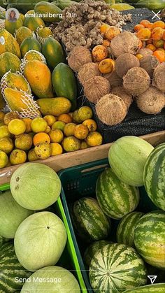 there are many different types of fruits in the display case, including melons and other fruit