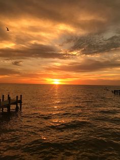 the sun is setting over the ocean with birds flying in the sky and on the water