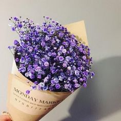 a person holding a bouquet of purple flowers in their hand with the words monday march written on it