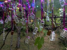 several glass jars hanging from a tree with lights in them and vines growing on the branches