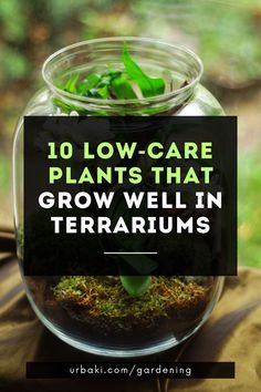 a jar filled with plants and dirt on top of a table