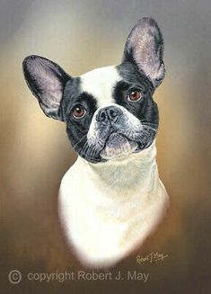 a painting of a black and white dog on a brown background with the words, boston terrier