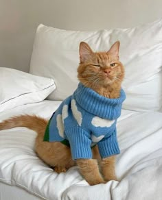 an orange cat sitting on top of a white couch wearing a blue and green sweater