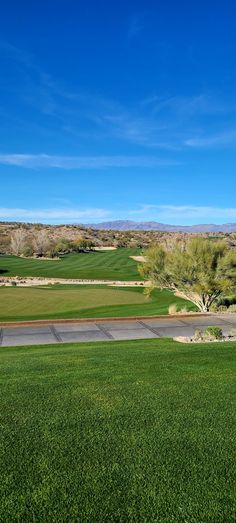 an empty golf course surrounded by green grass and desert trees in the distance with blue skies above