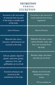 two different types of the same body and how they are used in each other's functions