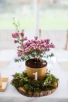 a table topped with a potted plant next to a number one sign on top of a wooden slice