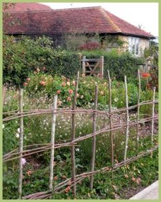 a garden with lots of plants and flowers in front of a house on the other side