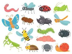 many different types of bugs and insects