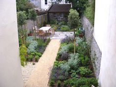 an outdoor garden with lots of plants and flowers on the ground, including lavenders