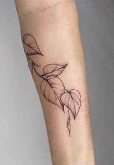 a black and white photo of a leaf tattoo on the leg