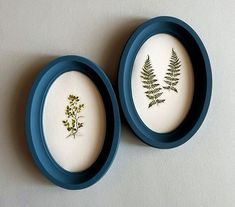 two small blue plates with plants in them