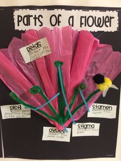 the parts of a flower made out of tissue paper