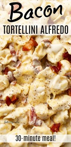 closeup of pasta in sauce with text overlay that reads bacon tortellini alfredo - 30 minute meal Bacon Tortellini Alfredo, Bacon Tortellini, Alfredo With Bacon, Tortellini Alfredo, Parmesan Cream Sauce, Tortellini Recipes, Cozy Dinner, Food Experience