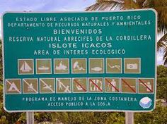 a sign is shown in front of some palm trees and other things on the ground