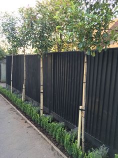 the fence is lined with trees and plants in front of it, next to a sidewalk