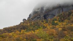 the mountain side is covered in clouds and fall foliage, with trees on both sides