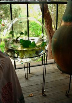 there is a glass bowl with plants in it on the table next to a window