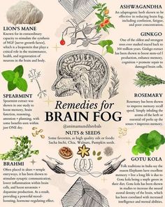 Remedies for BRAIN FOG Poster High quality resin-coated photo base paper. Satin photo finish, maximum color gamut, dmax, and image resolution Herb Benefits, Herbal Education, Alkaline Vegan, Medical Herbs, Magia Das Ervas, Healing Remedies, Magic Herbs, Journal Stuff, Adaptogenic Herbs