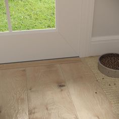 a dog is sitting in front of the door with his food bowl on the floor