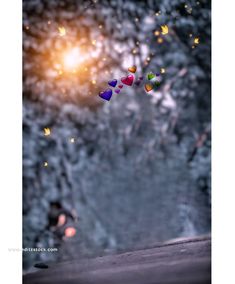 colorful hearts are floating in the air near a street light and trees with bright lights behind them