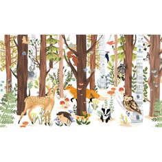 an illustrated forest scene with animals and birds