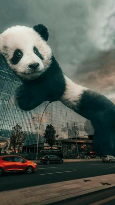 a giant panda bear hanging from the side of a tall building next to a red car