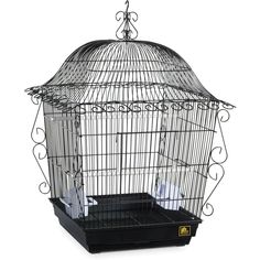 Prevue Pet Products Scrollwork Series Jumbo Tiel Scrollwork Bird Cage Prevue Pet Carpenter Bee Trap, Bee Traps, Small Bird Cage, Pet Bird Cage, Parakeet Bird, Hanging Bird Cage, Bronze Art, Bird Cage Decor, Bird Supplies