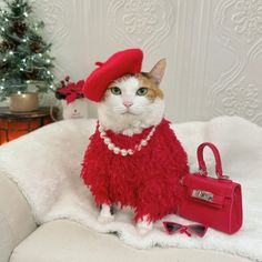 a cat wearing a red dress and hat sitting on top of a white couch next to a purse