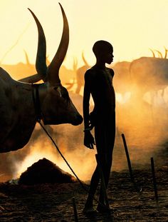 a man standing next to a cow with horns on it's head in the dirt