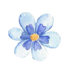 a watercolor painting of a blue and white flower on a white background with yellow center