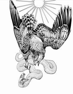 a drawing of an eagle attacking a snake with its wings spread out, in black and white