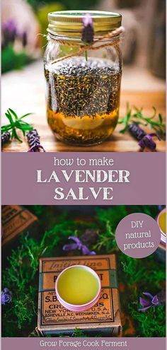 Learn how to make lavender salve, a cornerstone of DIY natural products. This guide takes you through the steps to create a homemade lavender salve that moisturizes and heals with the power of lavender, coconut oil, olive oil, and beeswax. A rewarding project for DIY beauty aficionados. Find more homemade beauty products, natural remedies, and herbalism for beginners at growforagecookferment.com. Herb Closet, Lavender Salve, Apothecary Garden, Herbal Salve Recipes, Medicinal Flowers, Herbs Medicine, Body Care Recipes, Survival Preparedness, Herbal Medicine Recipes