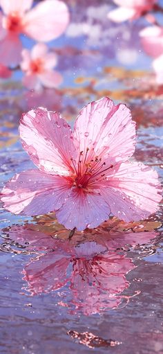 a pink flower floating on top of water