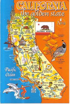 the california state map is shown with birds and flowers in orange, blue, and yellow