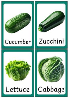 four different types of vegetables are shown in green and white cards with the words cucumber, zucchini, lettuce, cabbage