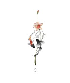 two koi fish swimming next to each other near a flower on a white background