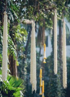 some white beads hanging from a tree