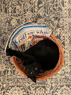 a black cat laying in a wicker basket filled with magazines