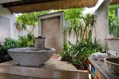 a bathroom with a large bowl sink and plants in the shower area next to it